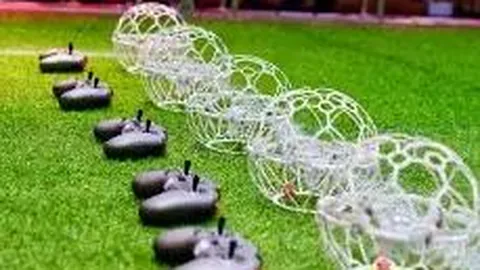 BBIN真人视讯 资讯 141545 f3p