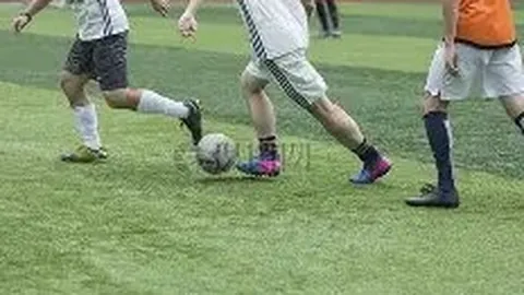 BBIN真人视讯 产品 135944 dz8